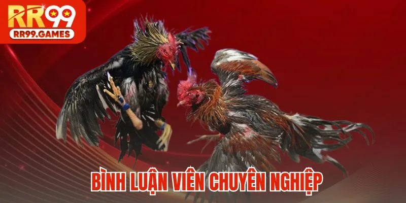 Bình luận viên chuyên nghiệp