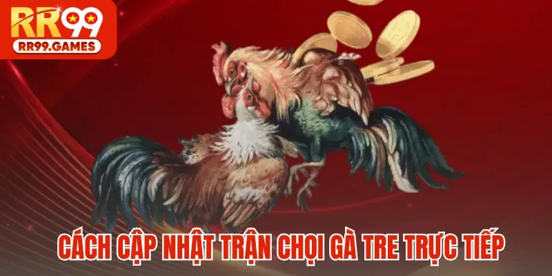 Cách cập nhật trận chọi gà tre trực tiếp nhanh chóng