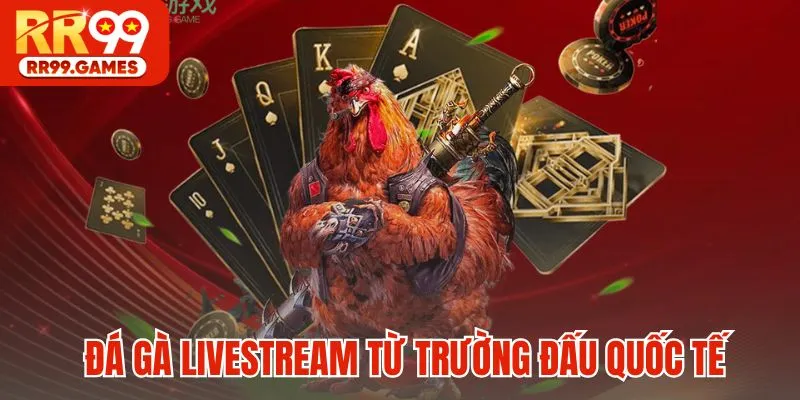 Đá gà livestream từ trường đấu quốc tế