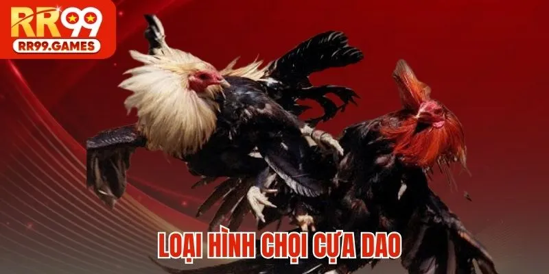 Loại hình chọi cựa dao