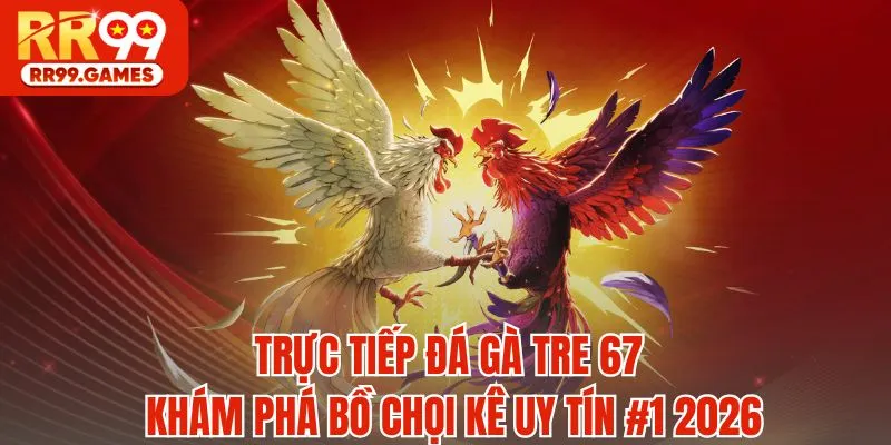 Trực Tiếp Đá Gà Tre 67 - Khám Phá Bồ Chọi Kê Uy Tín #1 2026